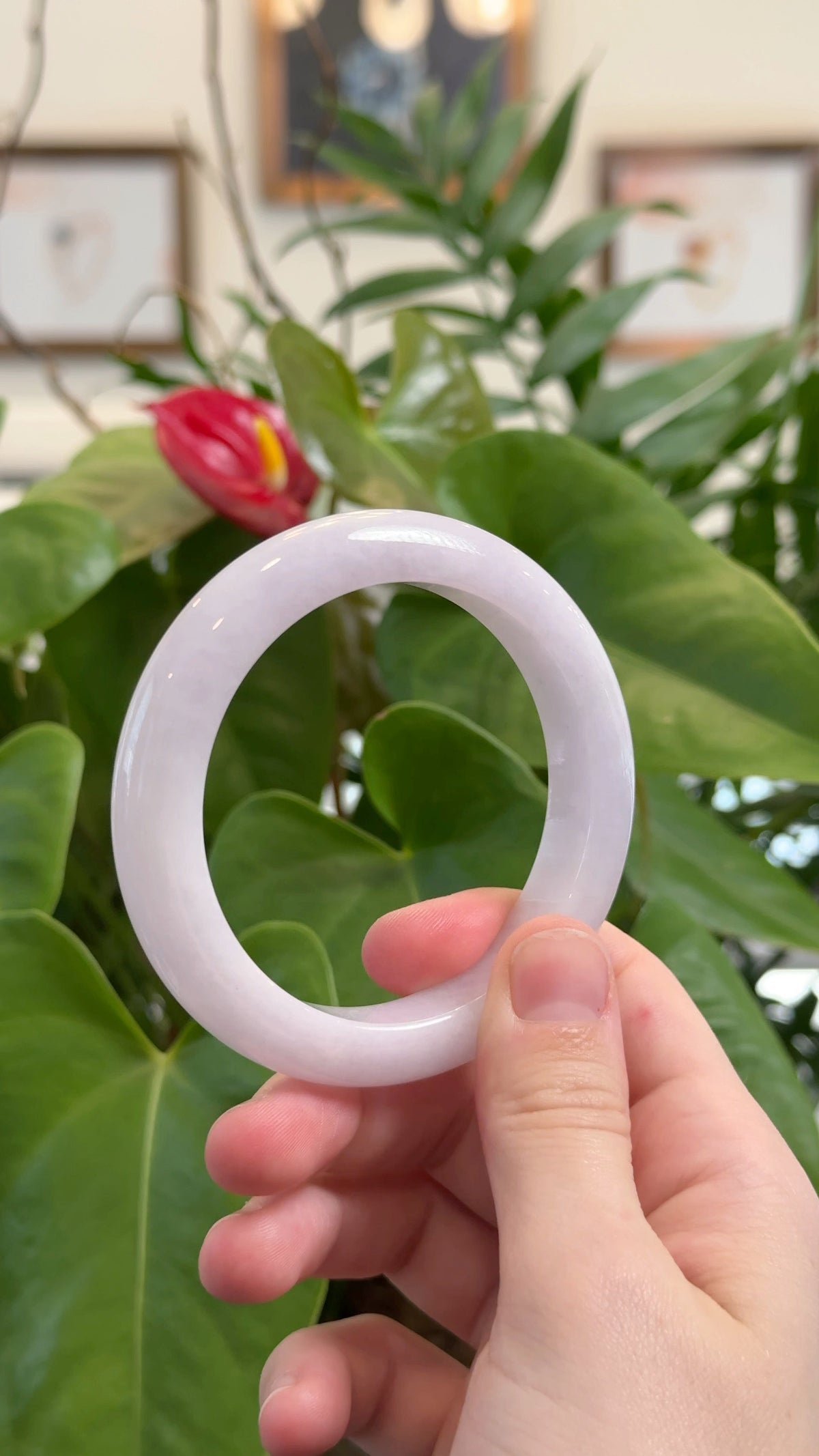 Light Lavender Jadeite Jade Bangle Bracelet (58.3 mm) #T852