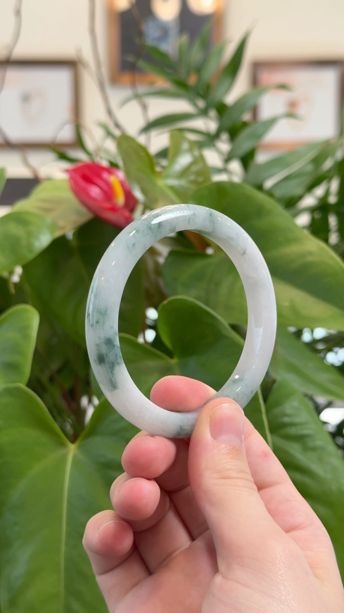 Natural Jadeite Jade Bangle Bracelet (56.5 mm) #T833